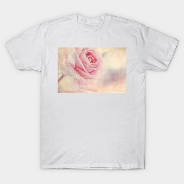 Rose T-Shirt by micklyn